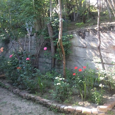 Guesthouse Malkhazi Bordzjomi Buitenkant foto
