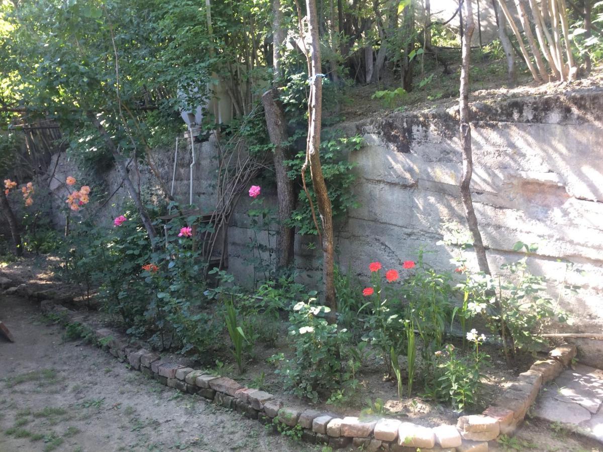 Guesthouse Malkhazi Bordzjomi Buitenkant foto