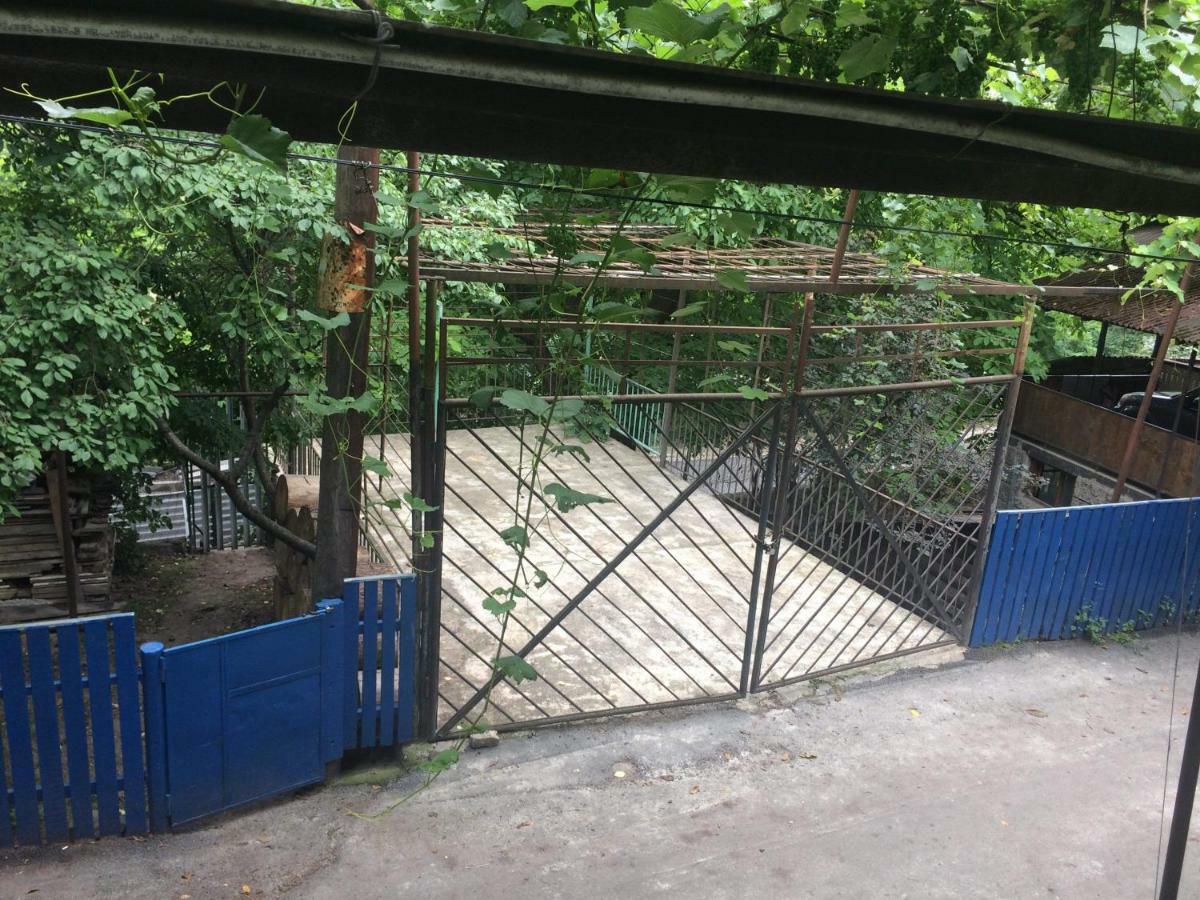 Guesthouse Malkhazi Bordzjomi Buitenkant foto